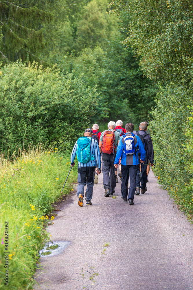 Obraz premium Group of men hiking on a road in a deciduous forest