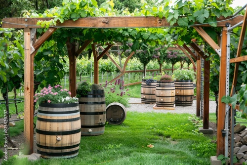 A backyard vineyard with rows of grapevines, wine barrels, and a cozy tasting area, perfect for wine enthusiasts and connoisseurs alike, Generative AI photo