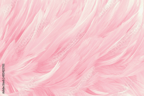 Beautiful soft pink bird feathers pattern texture background.