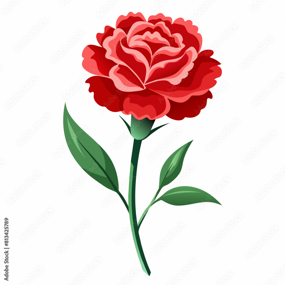 Carnation Flower Vector illustration Carnation Flower Vector illustration