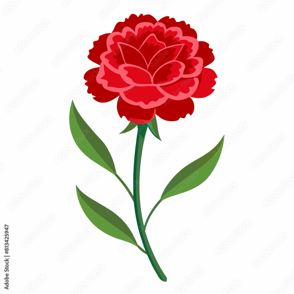 Obraz premium Carnation Flower Vector illustration 