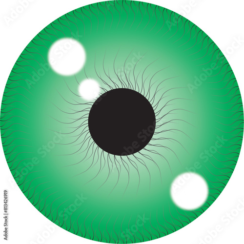 eye