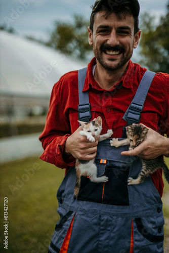 Male and group of kitties on the farm