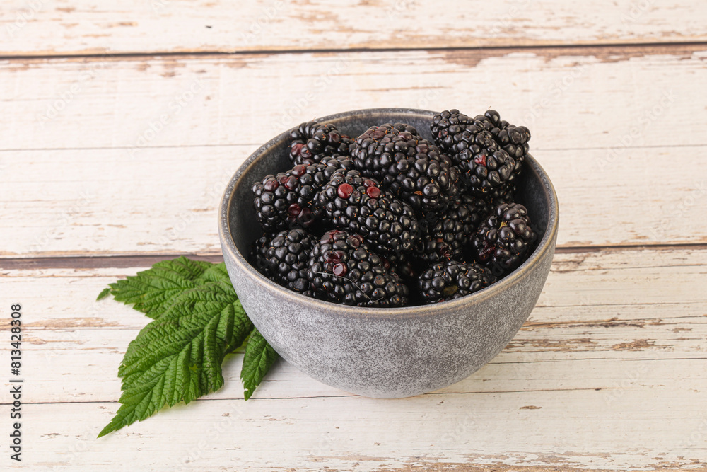 Natural organic blackberry in the bowl Natural organic blackberry in the bowl