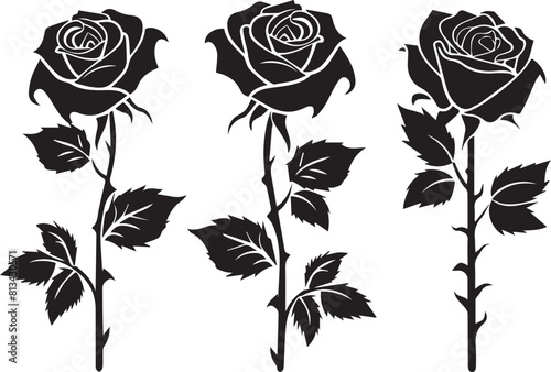 set of roses