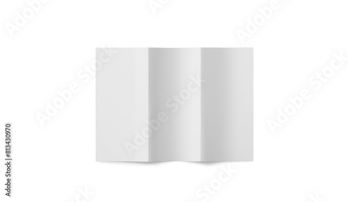 DL Tri-Fold Brochure 3D Rendering on White Background © Khaled