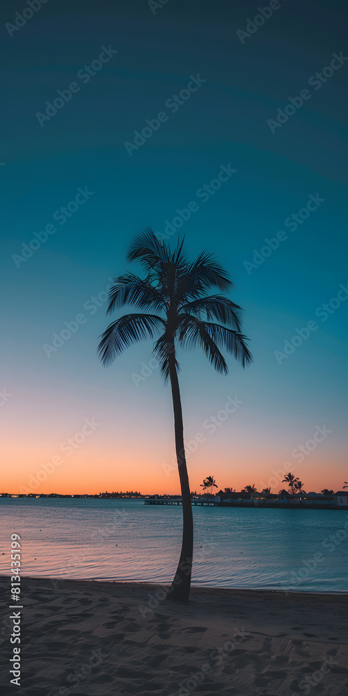 Título Pôr do sol na praia com silhueta de coqueiro