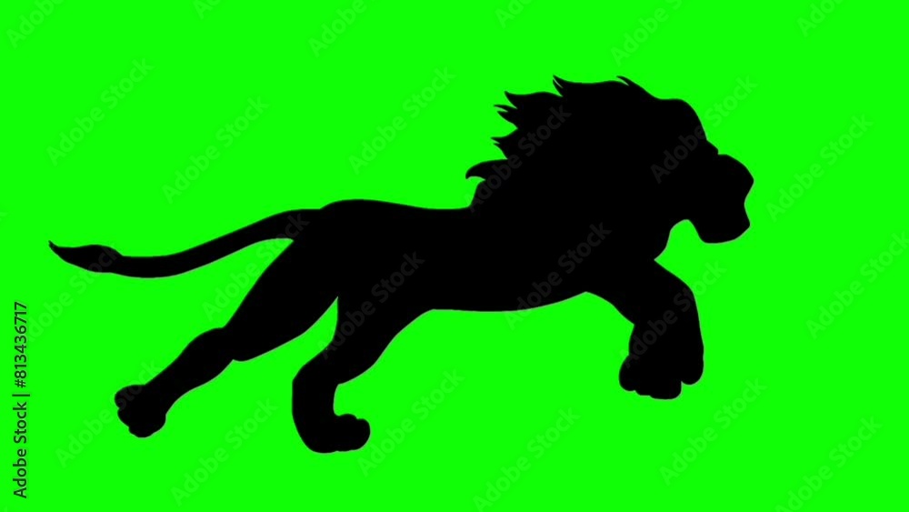 Animated running male lion silhouette on a green screen. Concept of nature, animals, zodiac, and kids content. Animated running male lion silhouette on a green screen. Concept of nature, animals, zodiac, and kids content.