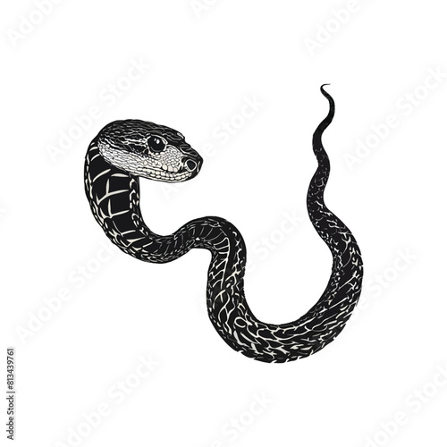 Snake Animal black silhouette vector with white color background