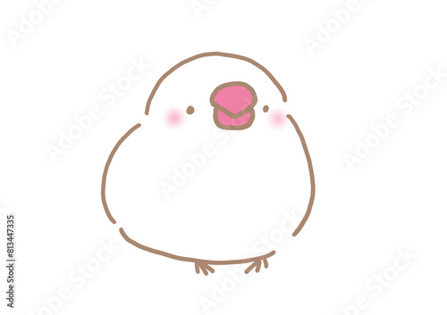 左を向いて座る白文鳥