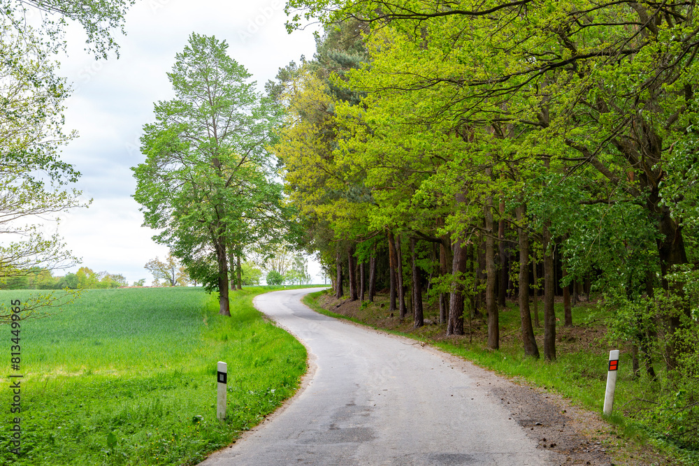 Road in the countryside Road in the countryside