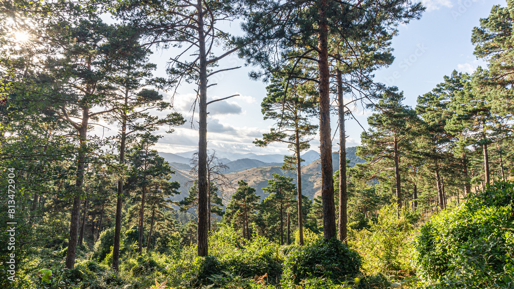Fototapeta premium Pyrenees mountains in northern Spain