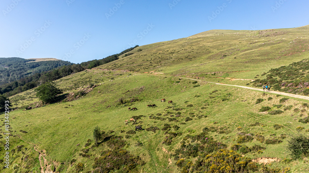 Fototapeta premium Pyrenees mountains in northern Spain