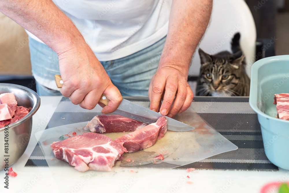 Man cutting piece of meat on cutting board with knife, cat looking at it