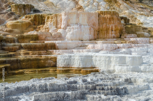 Mammoth Hot Springs at Yellowstone National Park photo