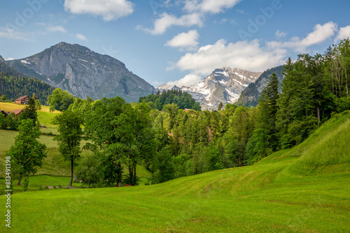 Santis mountain range with green trees and plants under sky photo