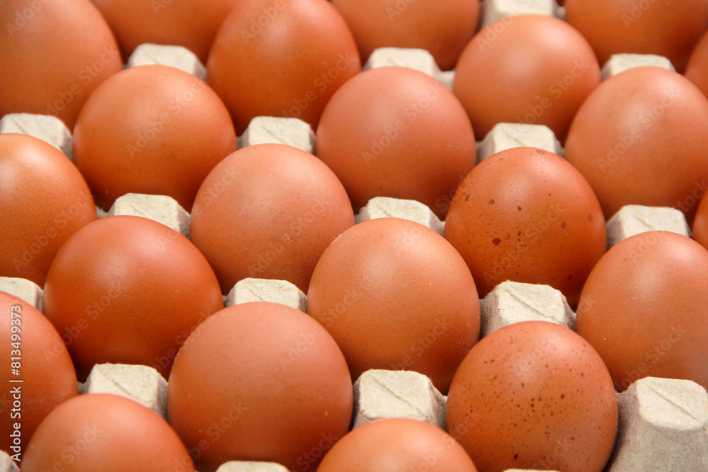 Eggs or chicken eggs in cardboard box isolated on white background Eggs or chicken eggs in cardboard box isolated on white background