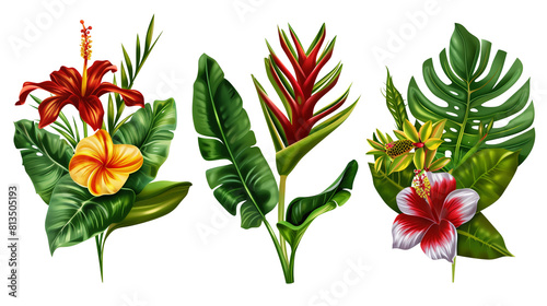 Set of rainforest flowers including heliconia  passion flower  and hibiscus  isolated on transparent background