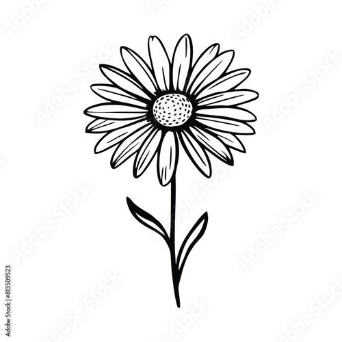 A minimalist, black single line drawing of a daisy flower, white background. daisy flower lineart handrawn vector illustration