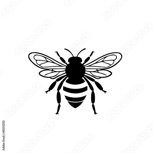 Vector illustration of a cute Bee drawing for toddlers coloring activity © meastudios