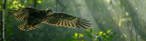 The Amazon is a seasonal paradise for countless migrating bird species. From the majestic harpy eagle to the tiny hummingbird, birds of all shapes and sizes flock to its lush greenery for refuge. photo