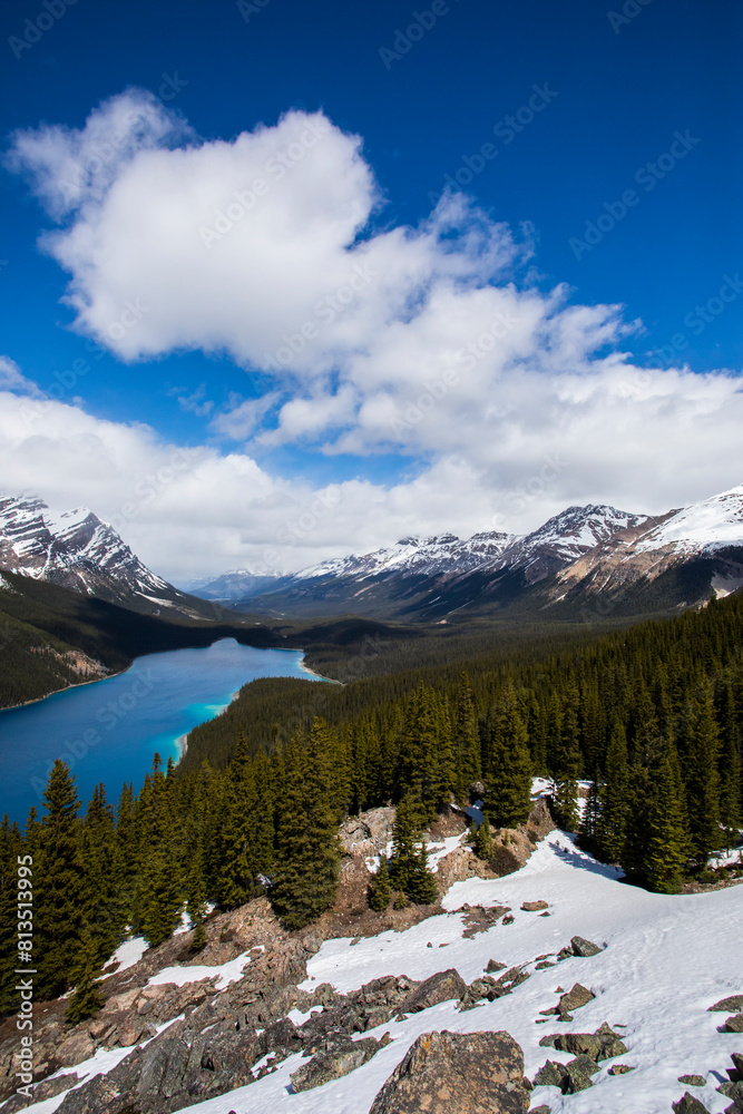 Summer landscape in Peyto lake, Banff National Park, Canada Stock Photo ...