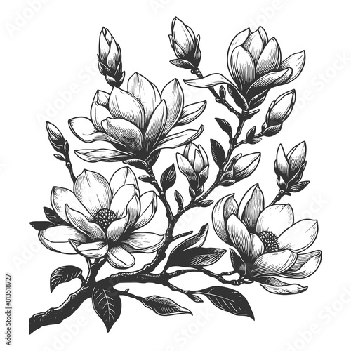 magnolia branch in bloom  exquisite flowers sketch engraving generative ai raster illustration. Scratch board imitation. Black and white image.