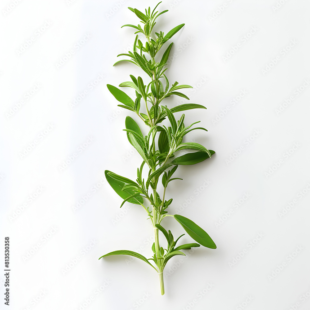 Fototapeta premium bamboo leaves green plant ai generative 