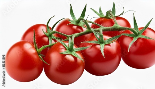 tomatoes on a vine