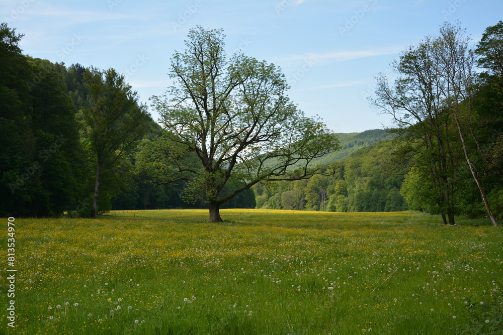 Photographs in the nature of Germany. The Urach Waterfalls are located in the town of Bad Urach. Photographs in the nature of Germany. The Urach Waterfalls are located in the town of Bad Urach.