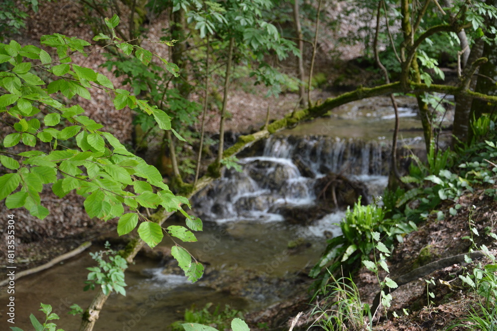 Photographs in the nature of Germany. The Urach Waterfalls are located in the town of Bad Urach. Photographs in the nature of Germany. The Urach Waterfalls are located in the town of Bad Urach.