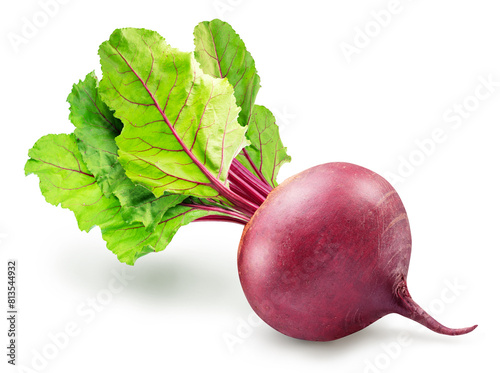 Red beetroot on stem with green leaves on white background. File contains clipping path.