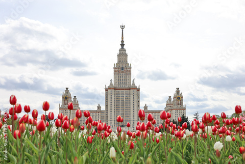 View of main building of Moscow State University through red tulips, higher education in Russia