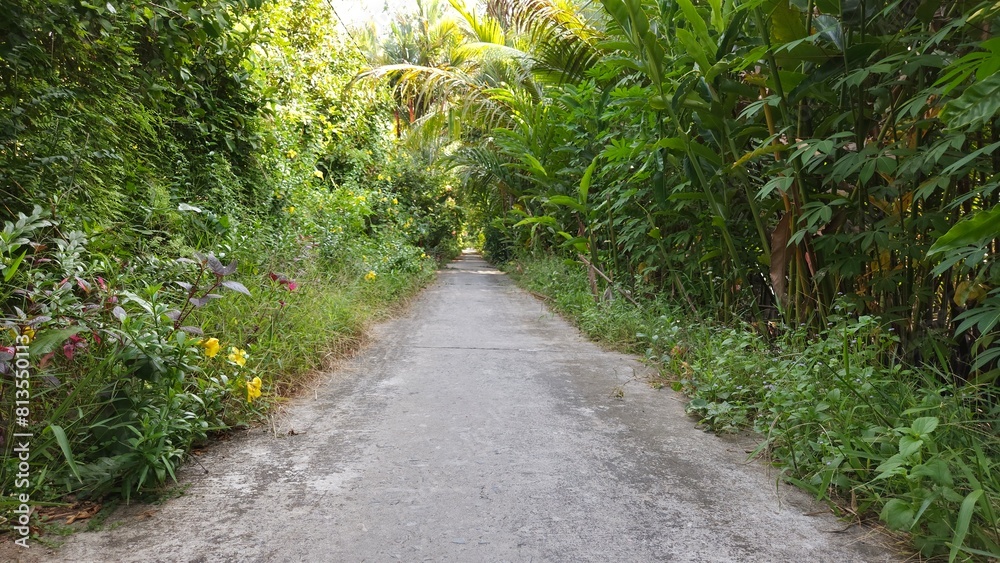 Narrow village street in countryside at Mekong Delta Vietnam. Narrow village street in countryside at Mekong Delta Vietnam.