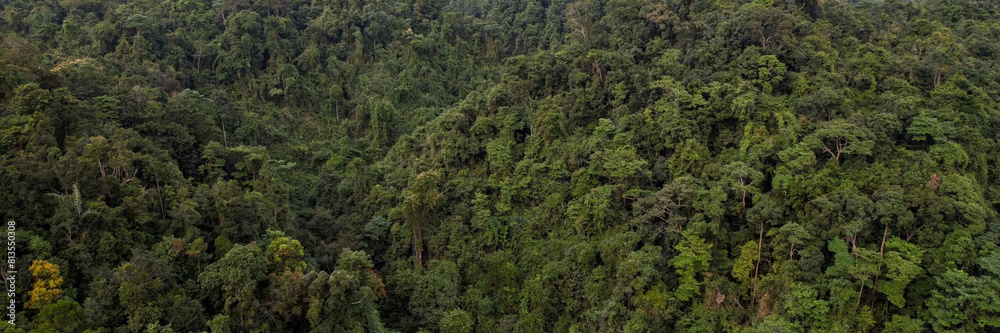 Aerial view of a dense tropical rainforest canopy, symbolizing Earth Day and World Environment Day, highlighting the concept of conservation and biodiversity Aerial view of a dense tropical rainforest canopy, symbolizing Earth Day and World Environment Day, highlighting the concept of conservation and biodiversity