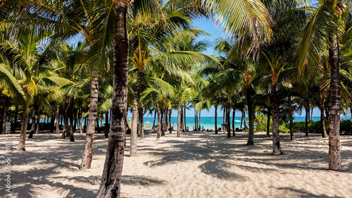 Tropical beach paradise with lush palm trees and pristine sands, perfect for travel, summer vacations, and holiday stock photography © fotoworld