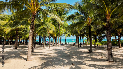 Tropical beach paradise with lush palm trees and pristine sands, perfect for travel, summer vacations, and holiday stock photography © fotoworld