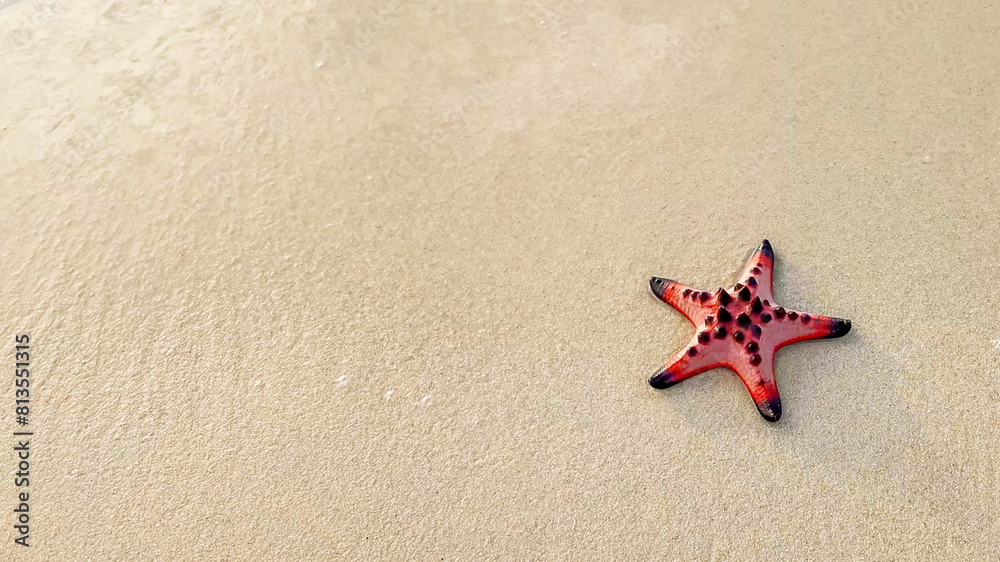 Background with starfish and sand and a place for text Background with starfish and sand and a place for text