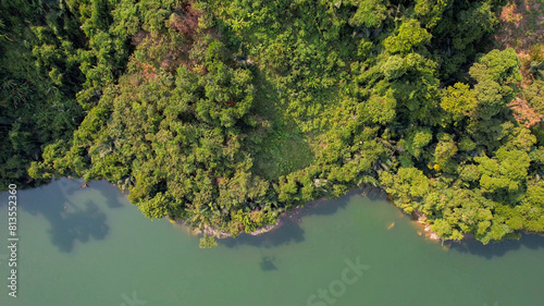 Aerial view of a dense forest canopy showing the diverse texture of greenery  relevant for concepts like Earth Day  conservation  and environmentalism