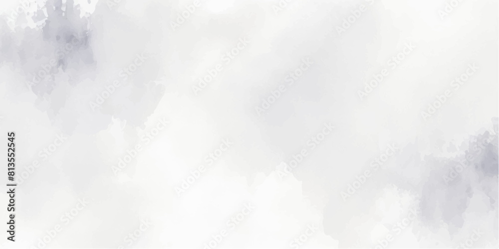 Abstract grey and white  watercolor textures on white paper background. white wall used as background. White . Grunge white Texture of chips, cracks, scratches, Soft white	