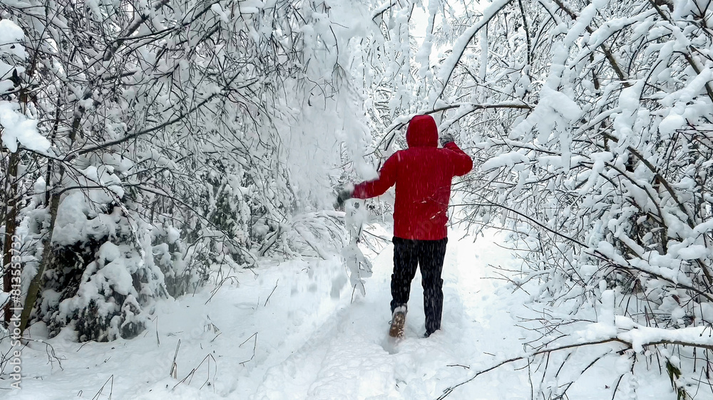 Person in red jacket enjoying a solitary winter walk through a snowy forest, evoking the serene beauty of Christmas and winter holidays