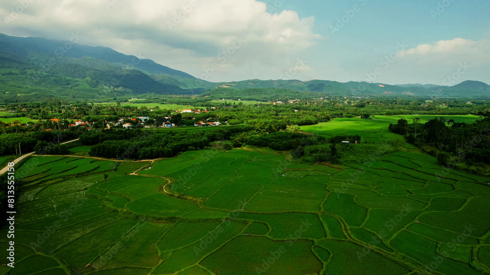 Fototapeta premium Aerial view of verdant rice terraces with a meandering road, showcasing sustainable agriculture and rural beauty, perfect for Earth Day and World Environment Day themes
