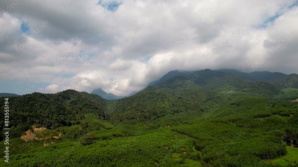 Fototapeta premium Aerial view of verdant rice terraces with a meandering road, showcasing sustainable agriculture and rural beauty, perfect for Earth Day and World Environment Day themes