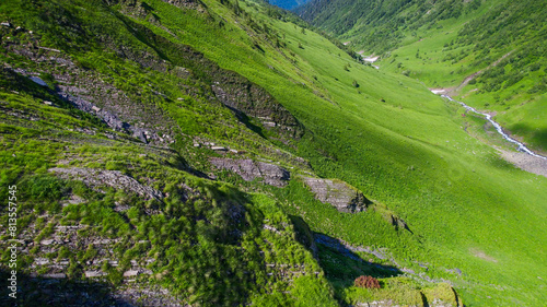 Aerial view of a lush green mountain valley with a meandering stream, perfect for nature, travel themes, and Earth Day promotions