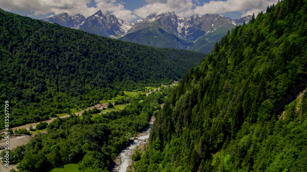 Fototapeta premium Lush green mountain slopes lead to snow-capped peaks under a clear sky, ideal for Earth Day and International Mountain Day themes