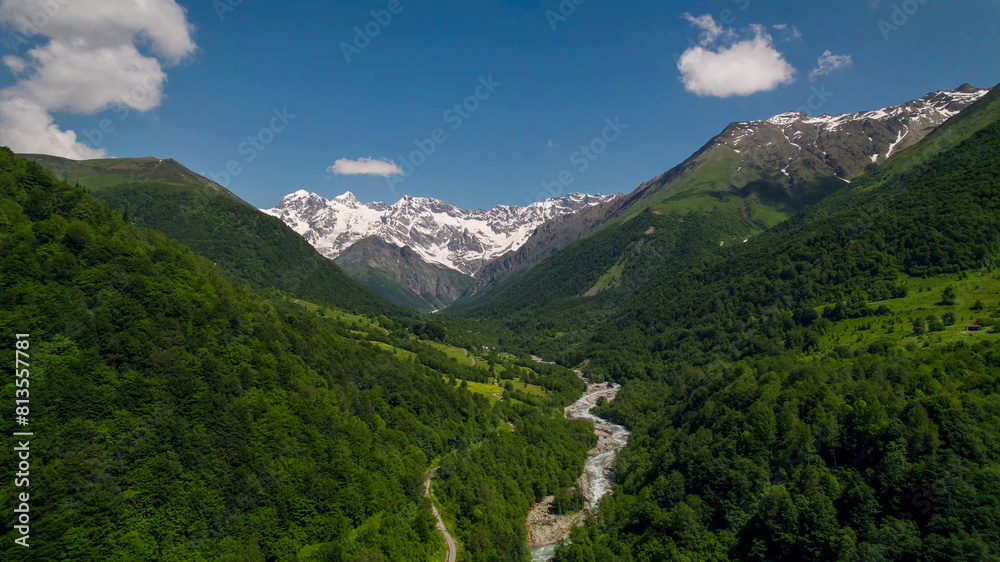 Obraz premium Lush green mountain slopes lead to snow-capped peaks under a clear sky, ideal for Earth Day and International Mountain Day themes