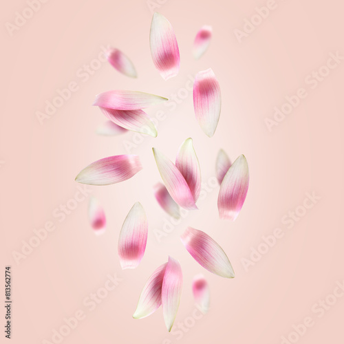 White lotus flower petals falling on pink background