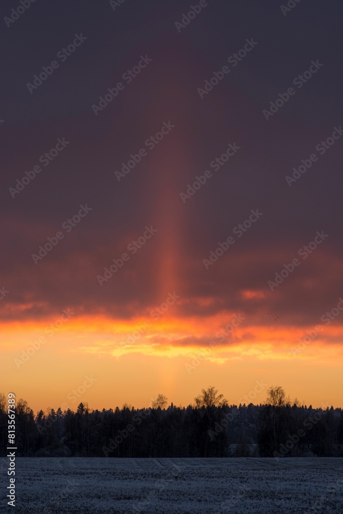 Vertical landscape of field under orange sunset sky Vertical landscape of field under orange sunset sky