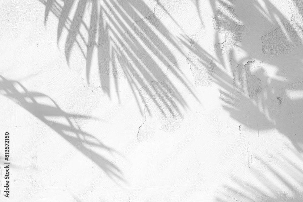 shadow Texture plam leaf tranparent background shadow Texture plam leaf tranparent background