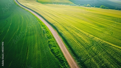 Aerial Rural. Amazing Drone Shot of Rural Road Passing Through Green Fields